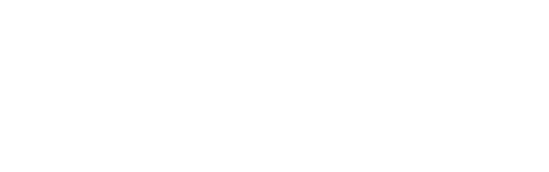 Mega Concept